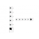 Gessi Rettangolo Wellness 43220 mezclador termostático de pared para ducha | Edilceram Design